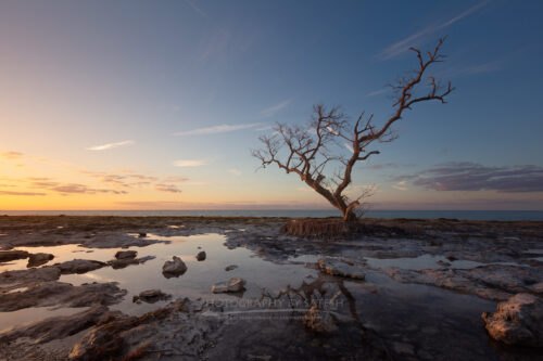 Florida Keys Landscape Photography at sunrise