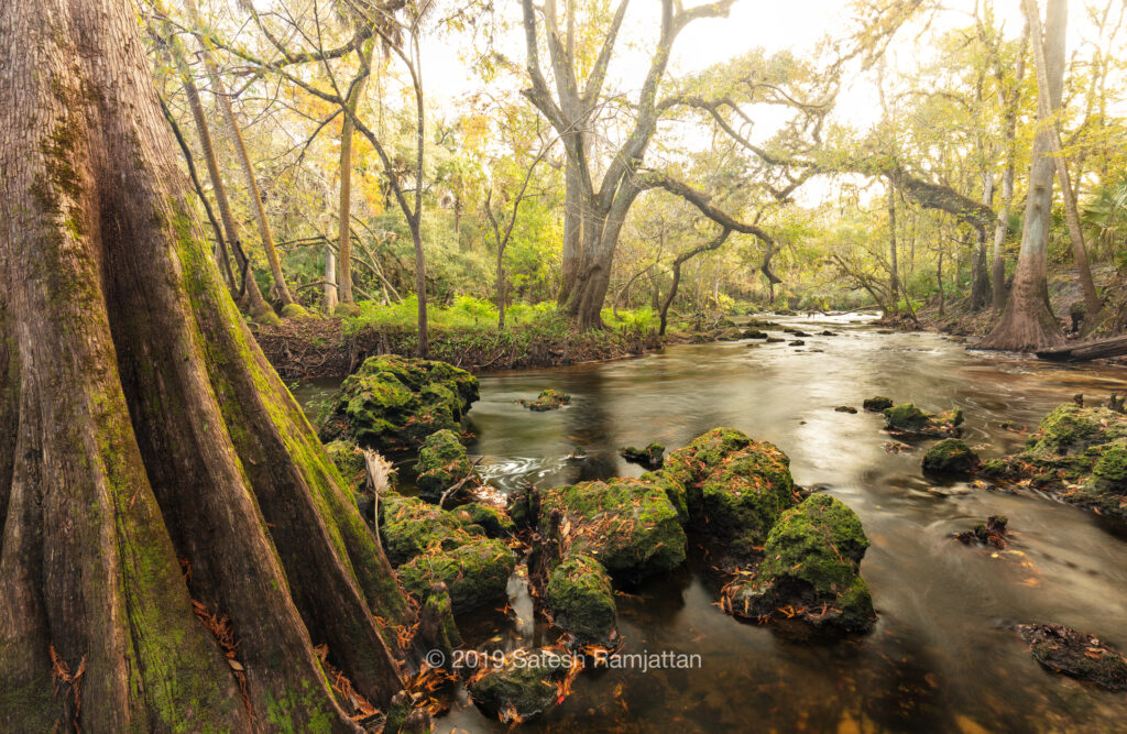 Florida landscape nature photography