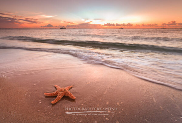 Florida landscape photography