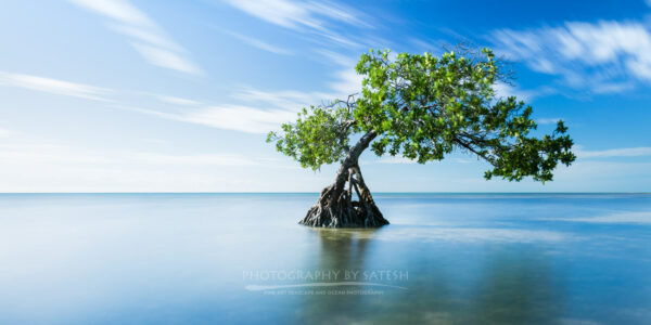 Florida Keys Landscape Photography