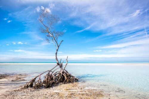 Florida Keys Landscape Photography