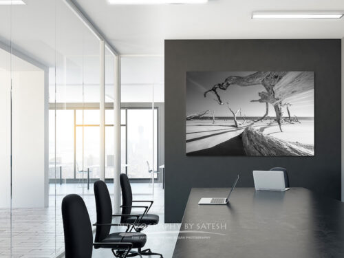 Black and white photos for sale