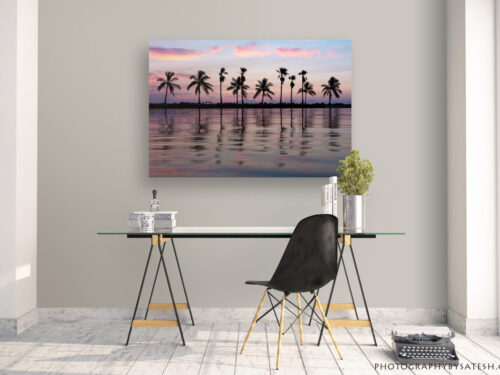 Matheson Hammock Florida landscape photo