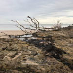 Black Rock Beach Big Talbot Island