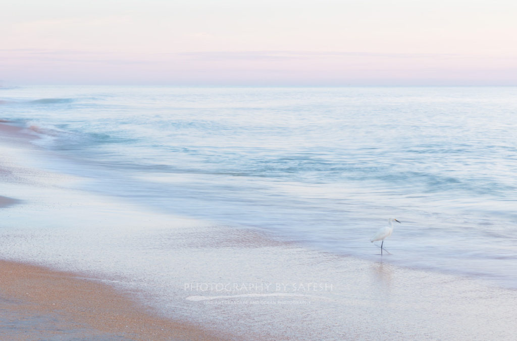 Flagler Beach sunrise egret abstract ocean art