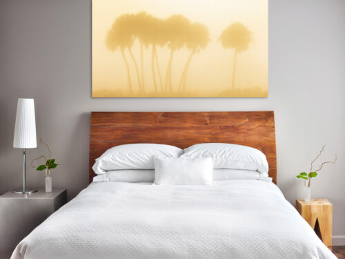 Florida Landscape Photography prints