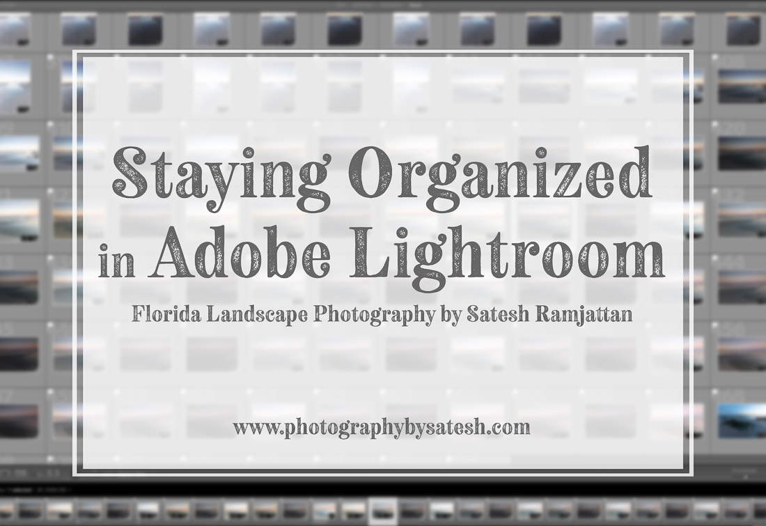 how to organize your digital photos