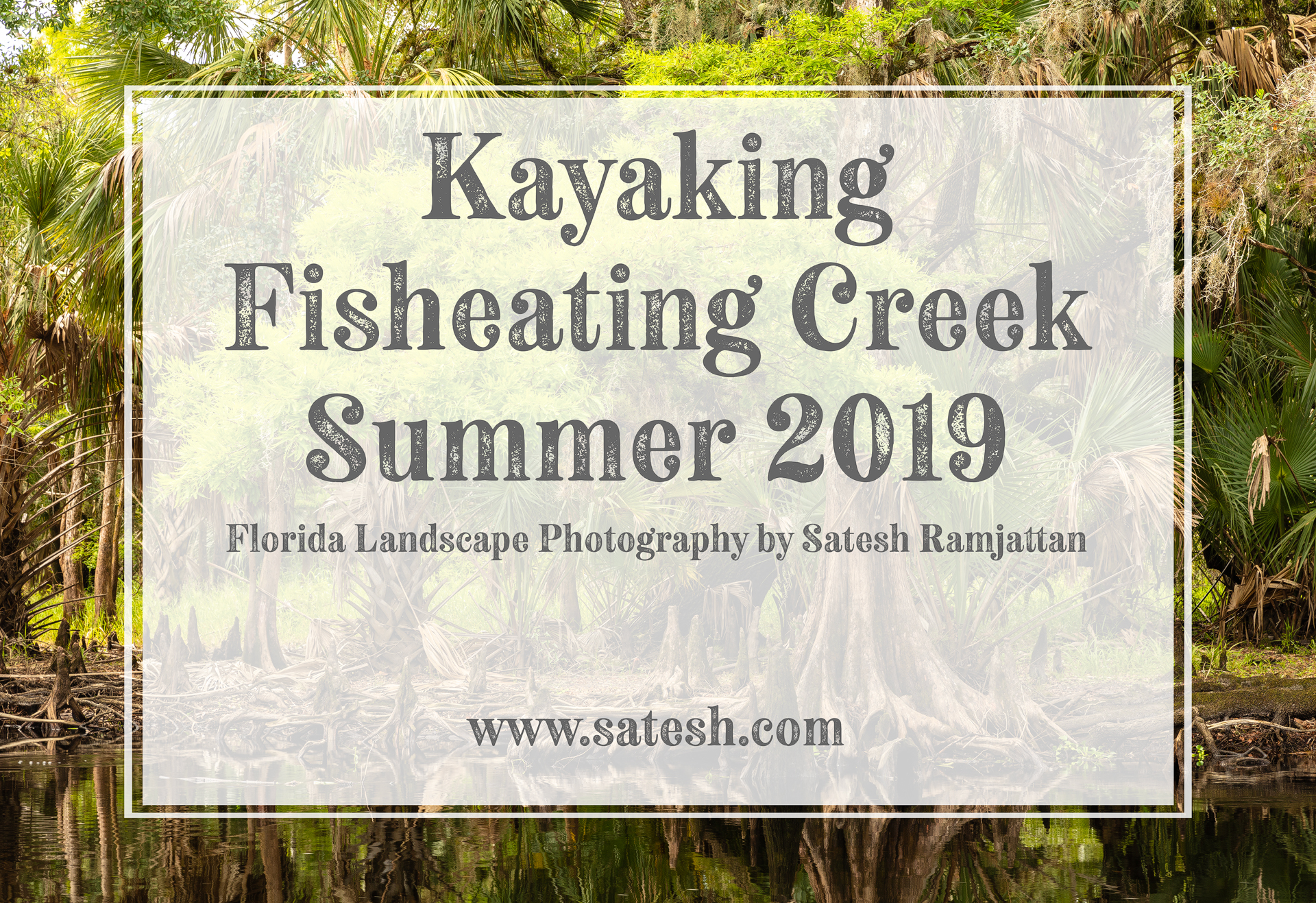 Kayaking Fisheating Creek