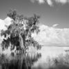 Lake Istokpoga Florida Landscape photography