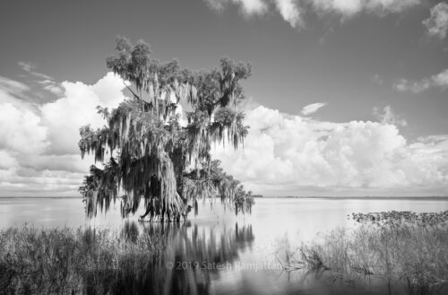 Lake Istokpoga Florida Landscape photography