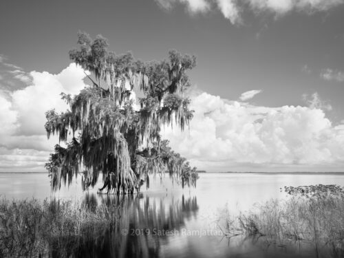 Lake Istokpoga Florida Landscape photography