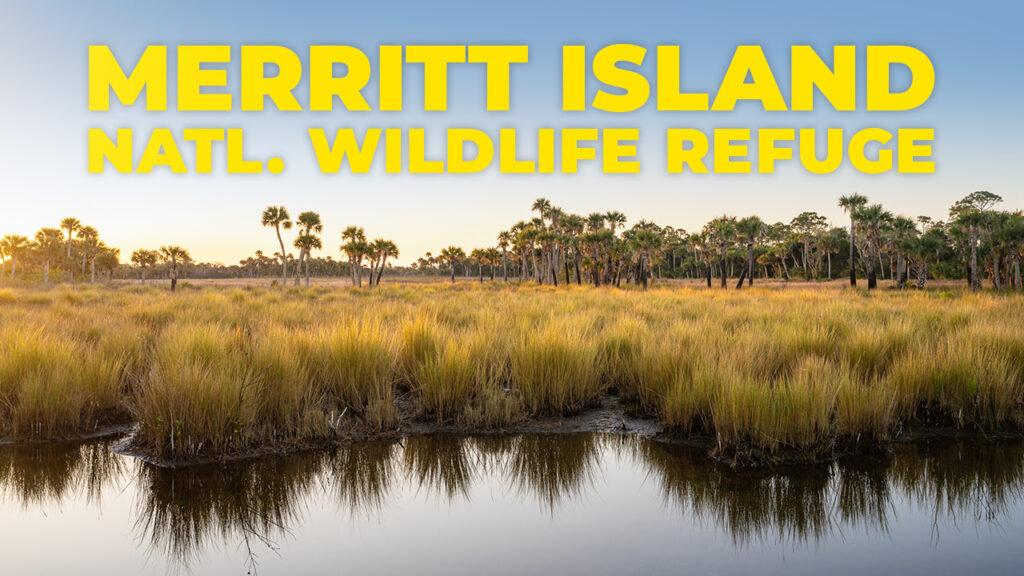 merritt island wildlife refuge