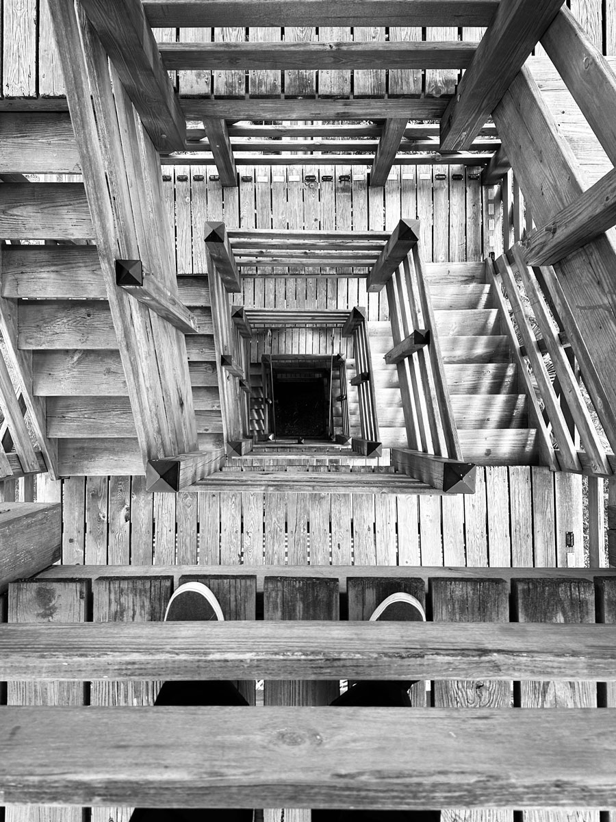 Myakka River observation tower