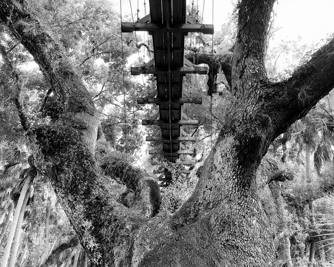 Myakka River suspension bridge