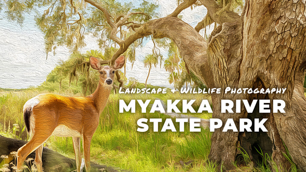 Myakka River State park