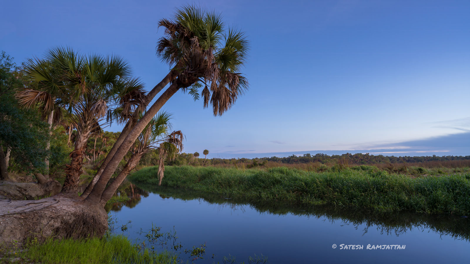 Myakka River State park sunset