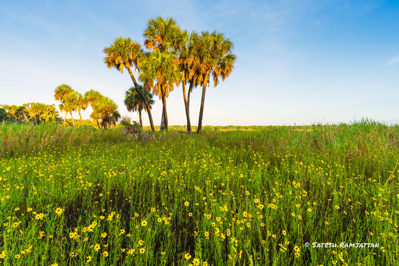 Myakka River State Park sunrise