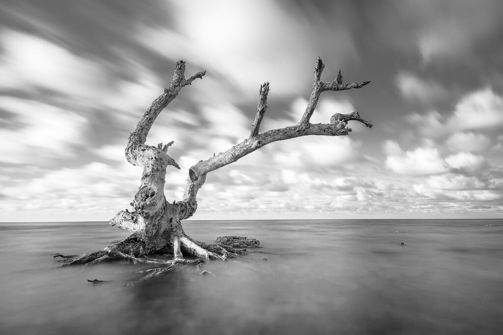 Florida landscape photography