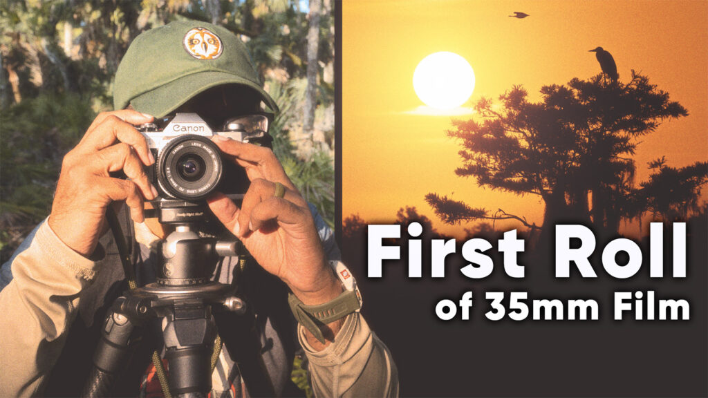 Florida landscape 35mm film photography