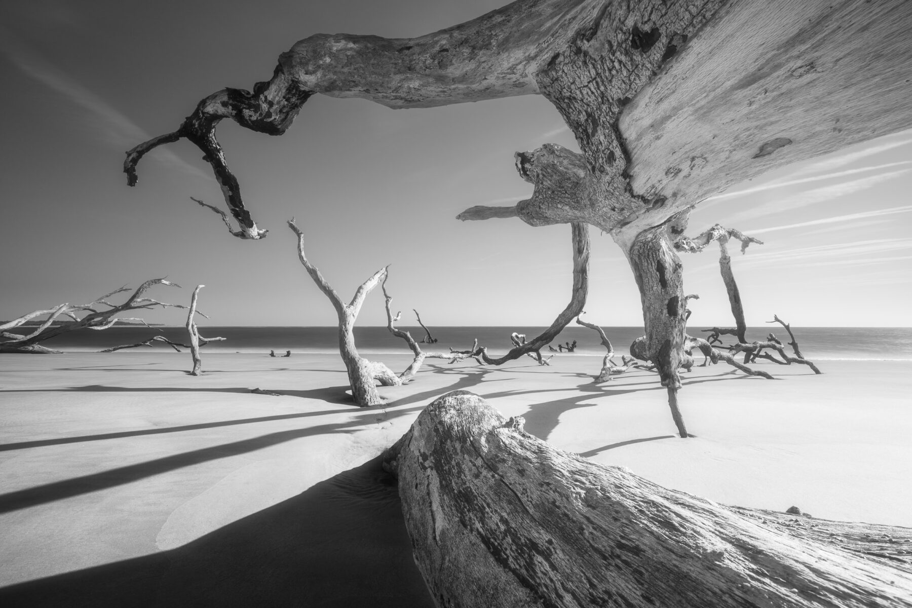 Florida black and white landscape photography