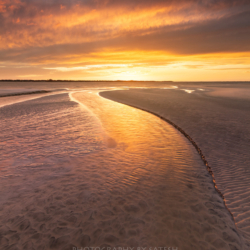 Amelia Island Sunset