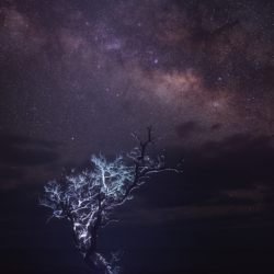 Milky Way Astrophotography from The Florida Keys