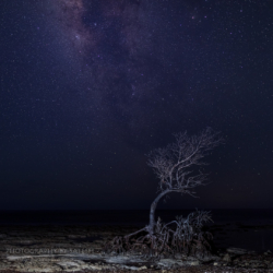 Milky Way Astrophotography from The Florida Keys
