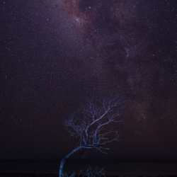 Milky Way Astrophotography from The Florida Keys