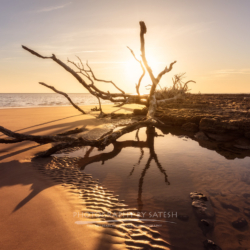 Boneyard Beach Big Talbot Island