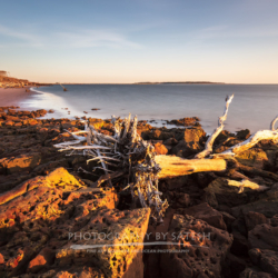 Big Talbot Island State park