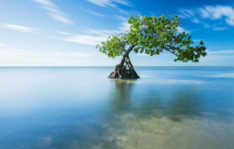Florida keys photography