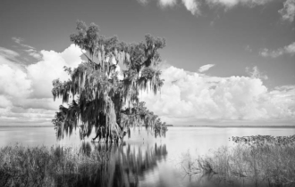 Black and White Florida landscape photos black and white